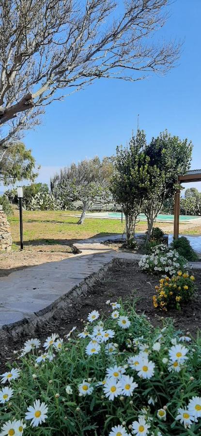 Lispusada Agriturismo Adults Only Biancareddu Exteriör bild