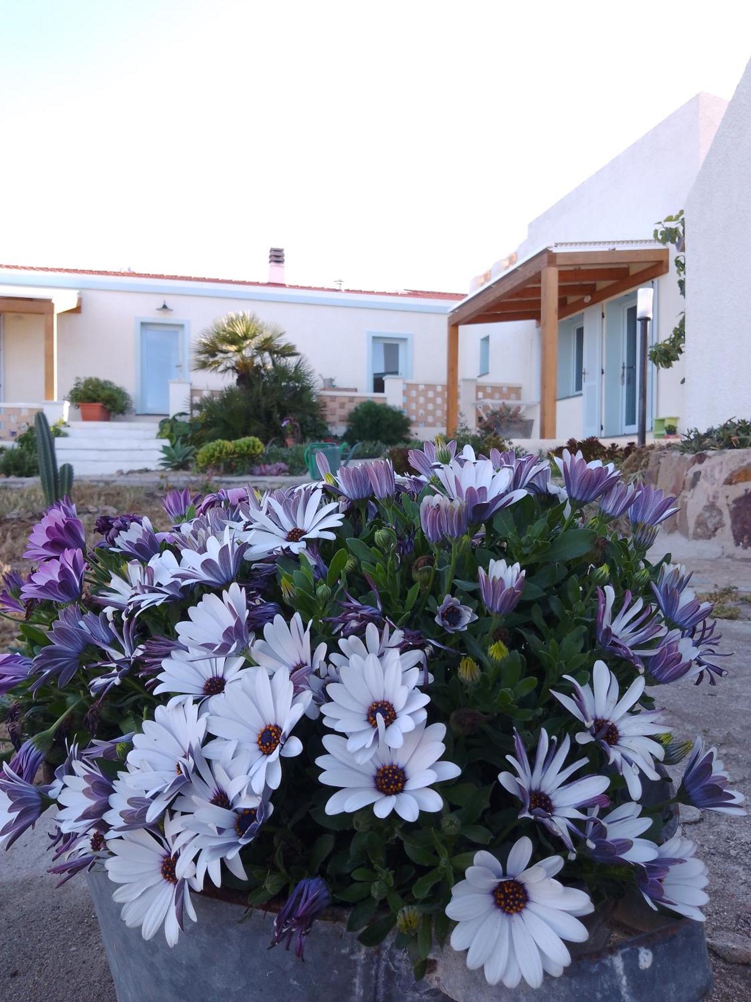 Lispusada Agriturismo Adults Only Biancareddu Exteriör bild