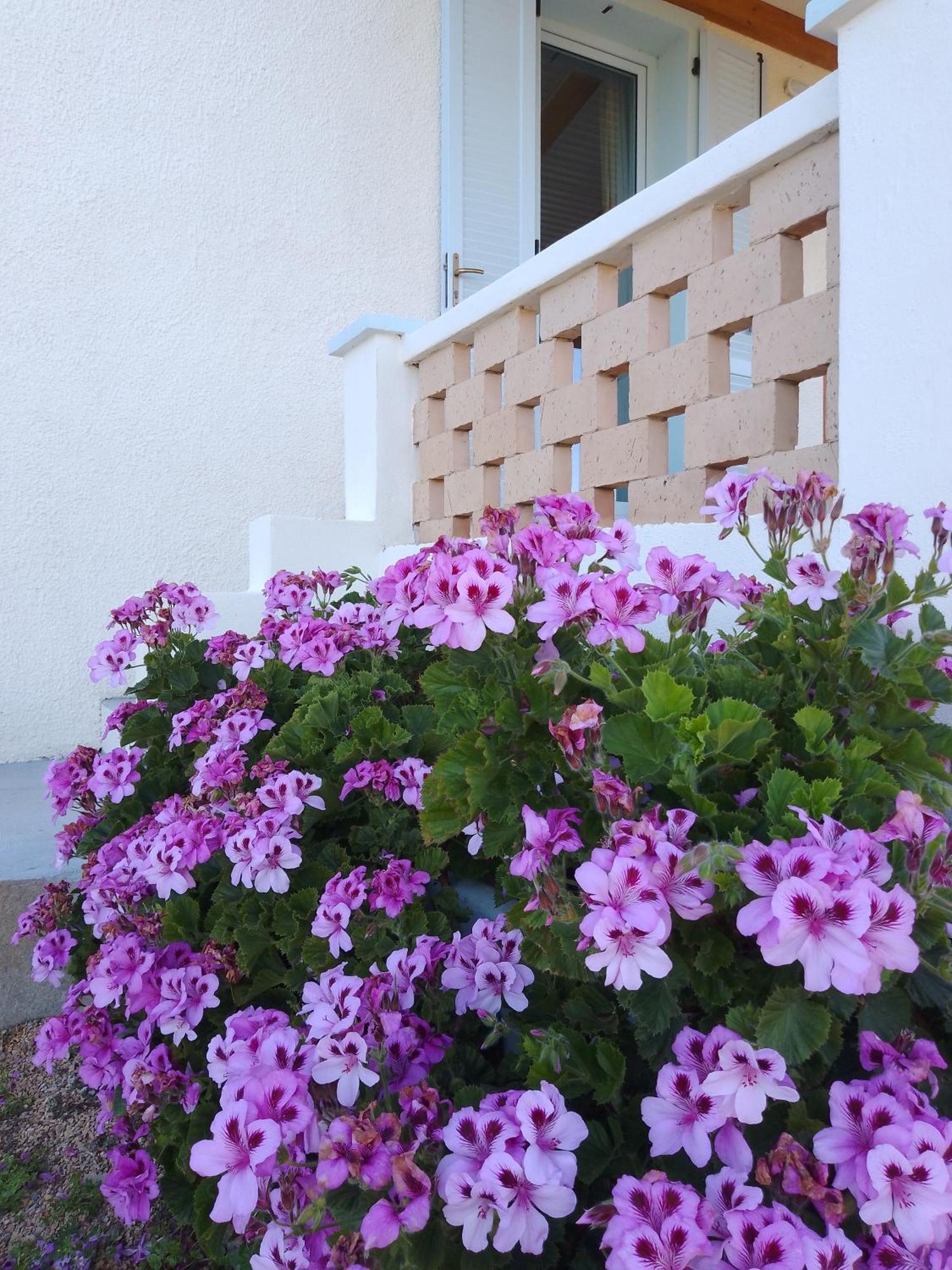 Lispusada Agriturismo Adults Only Biancareddu Exteriör bild